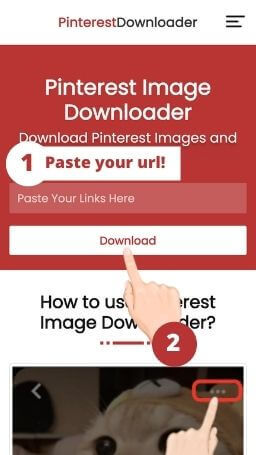 Download Pinterest Image